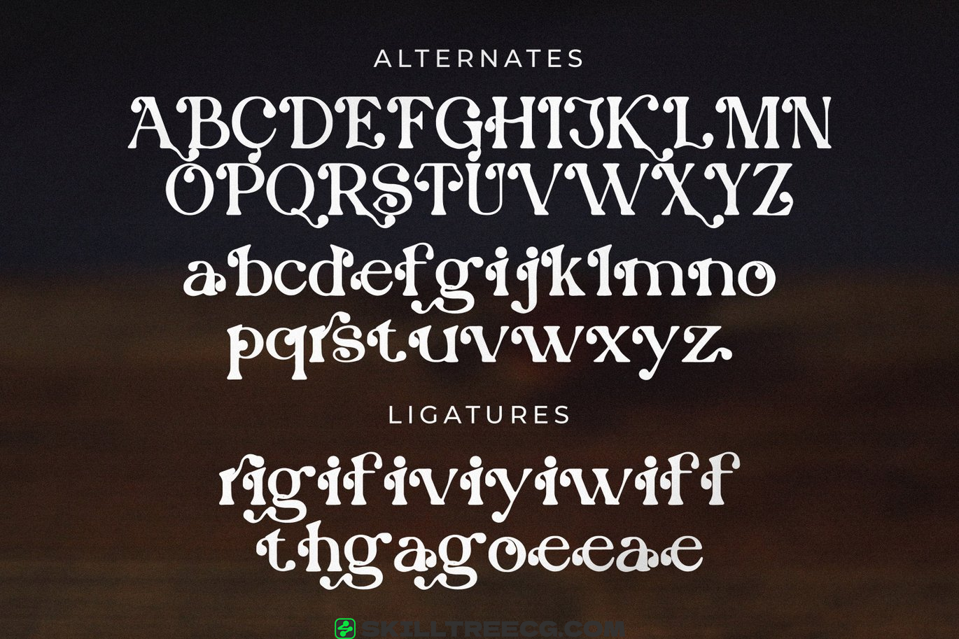 有衬线宋体字母表现代徽标字体排版字母衬线线字体-458498