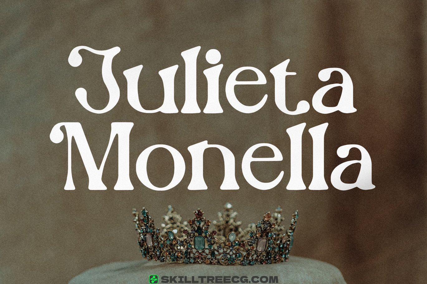 有衬线宋体字母表现代徽标字体排版字母衬线线字体-458498