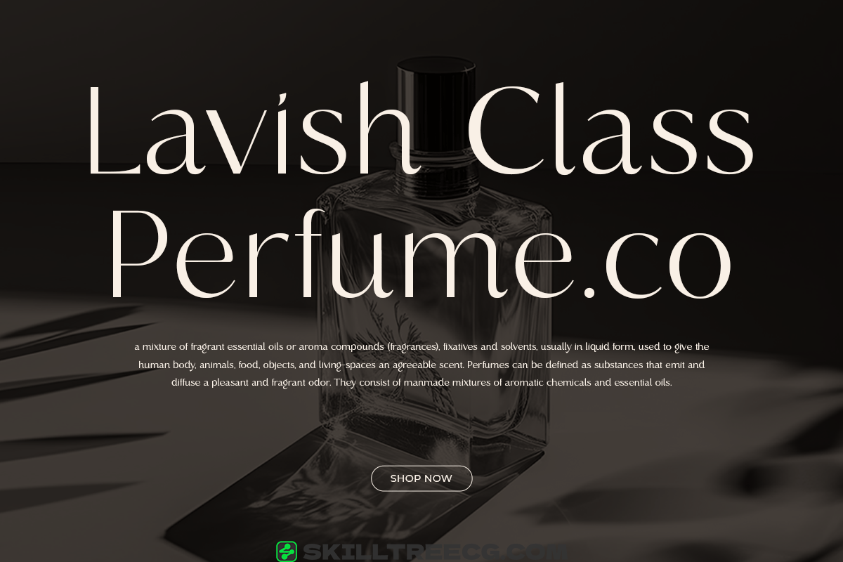 无衬线黑体独特形状随时为您的品牌增值豪华现代-293066-技能树 无衬线黑体独特形状随时为您的品牌增值豪华现代-293066-技能树