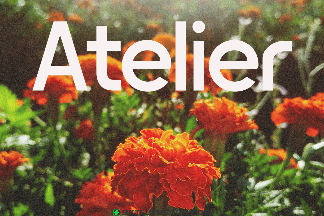 无衬线黑体品牌海报网页设计徽标创作-748820