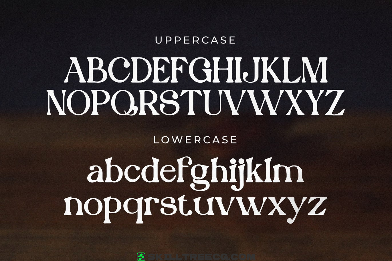 有衬线宋体字母表现代徽标字体排版字母衬线线字体-458498