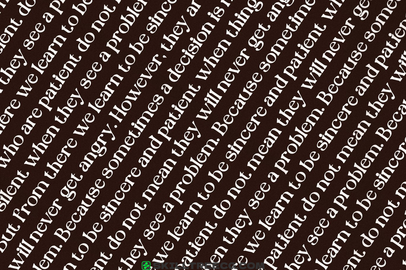 有衬线宋体字母表现代徽标字体排版字母衬线线字体-458498
