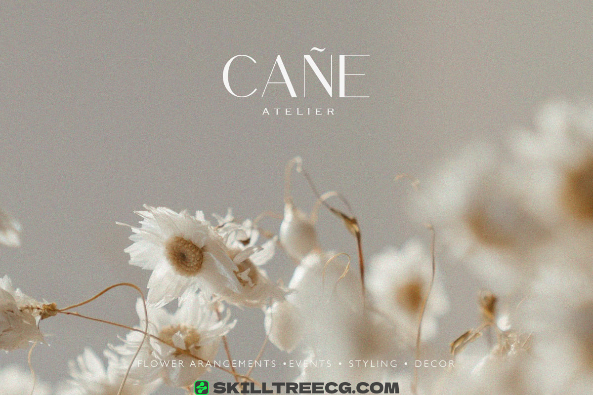 无衬线黑体基本字体任何优雅风格-555852-技能树 无衬线黑体基本字体任何优雅风格-555852-技能树