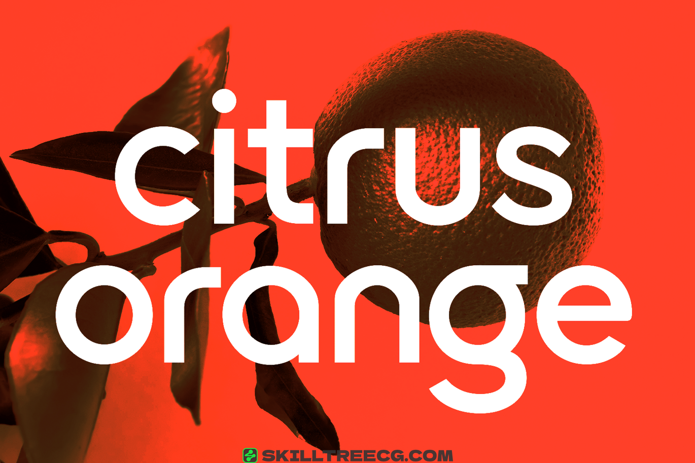 无衬线黑体品牌海报网页设计徽标创作-748820