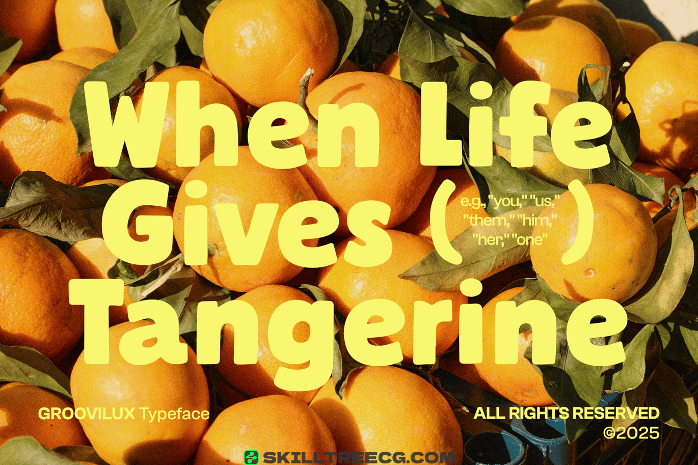 无衬线黑体生活方式品牌音乐活动复古主题包装-933203-技能树 无衬线黑体生活方式品牌音乐活动复古主题包装-933203-技能树