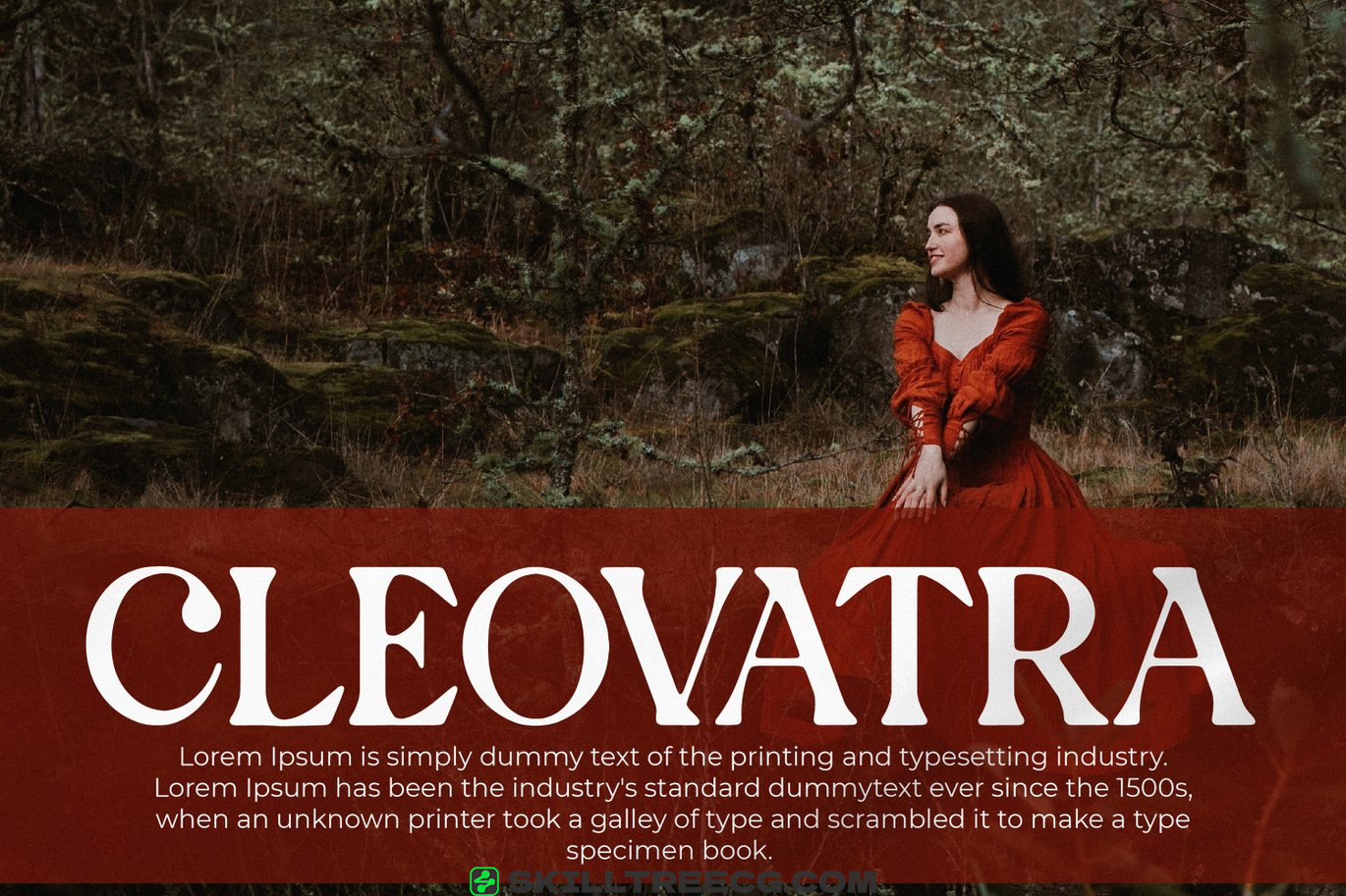 有衬线宋体字母表现代徽标字体排版字母衬线线字体-458498