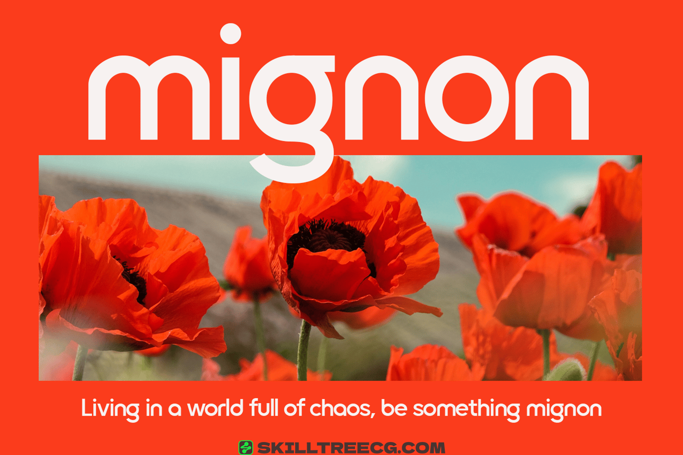 无衬线黑体品牌海报网页设计徽标创作-748820