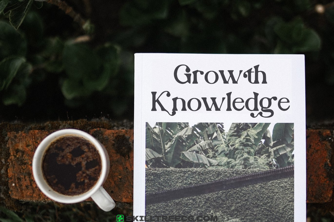 有衬线宋体字母表现代徽标字体排版字母衬线线字体-458498