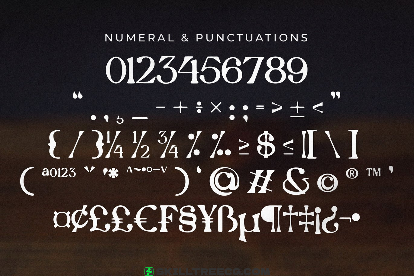 有衬线宋体字母表现代徽标字体排版字母衬线线字体-458498