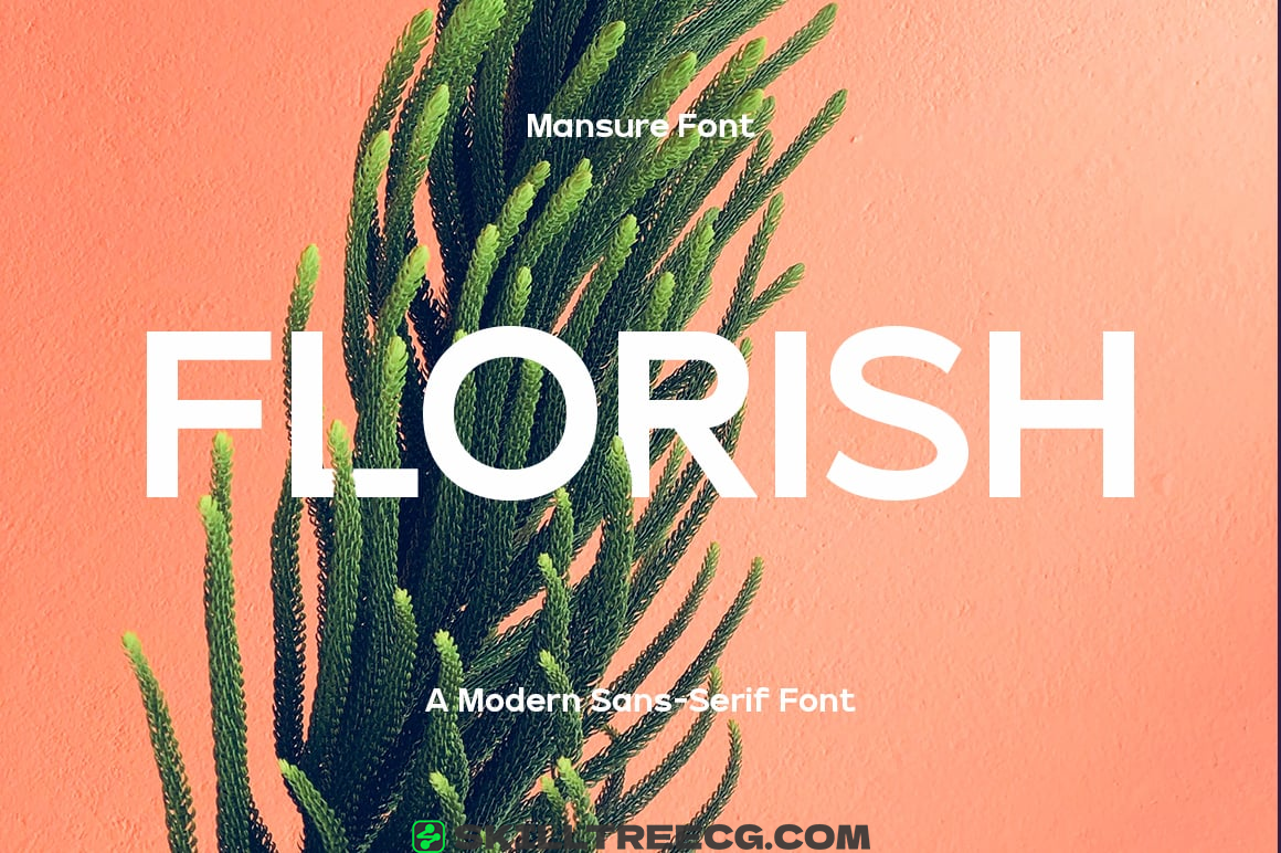 无衬线黑体创建徽标海报包装贺卡迷人而温暖的特性-413619-技能树 无衬线黑体创建徽标海报包装贺卡迷人而温暖的特性-413619-技能树