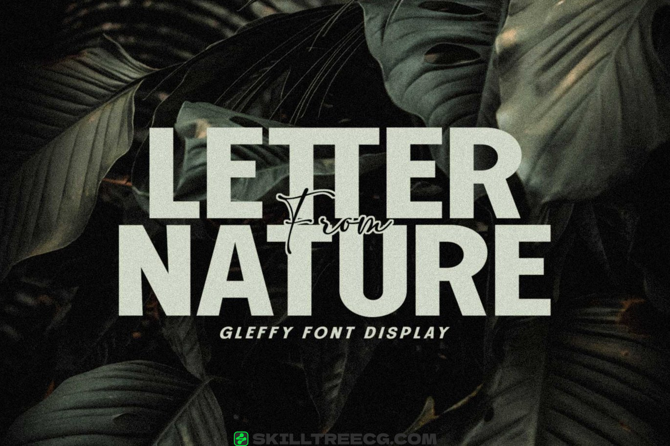 无衬线黑体曲线细致细节永恒吸引力印刷网络移动-341431-技能树 无衬线黑体曲线细致细节永恒吸引力印刷网络移动-341431-技能树